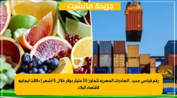 رقم قياسي جديد.. الصادرات المصرية تتجاوز 26 مليار دولار خلال 6 أشهر دلالات إيجابية لاقتصاد البلاد 1